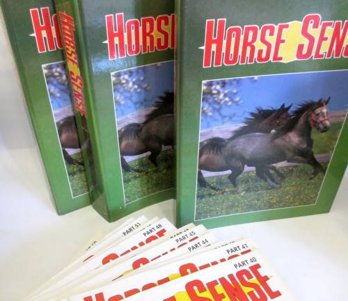 1980's Full Set #1-85 Horse Sense Magazines. Three Binders. Excellent Condition. Collectors Item.