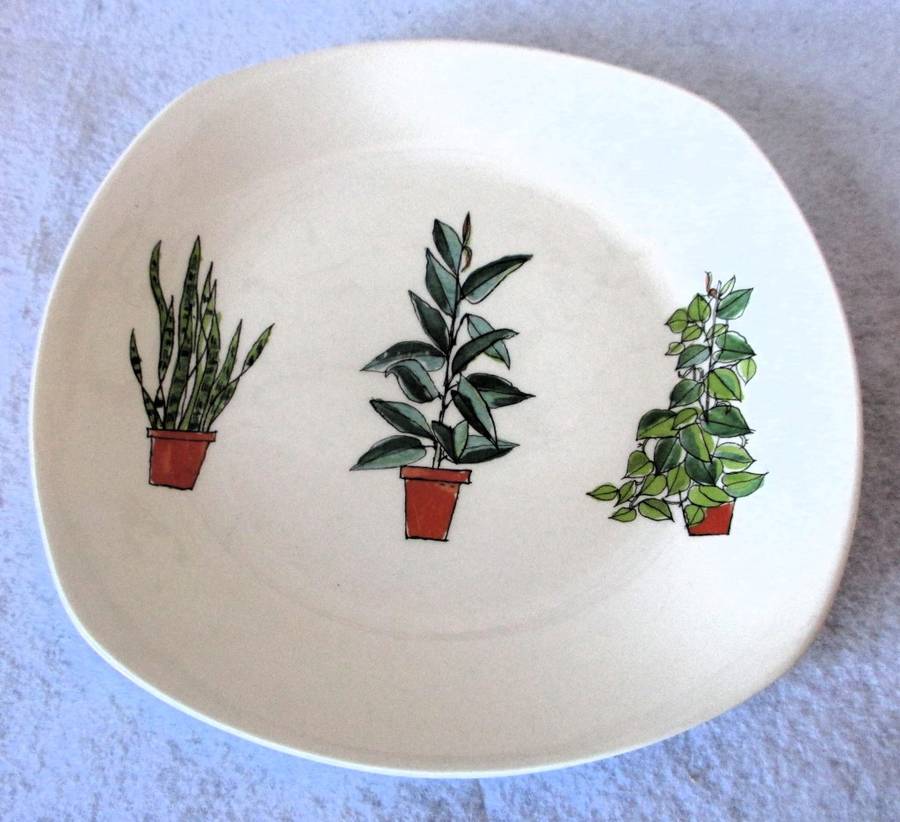`Plant Life` stylecraft fashion tableware by Midwinter for Terrance Conran Design. 22cm diameter