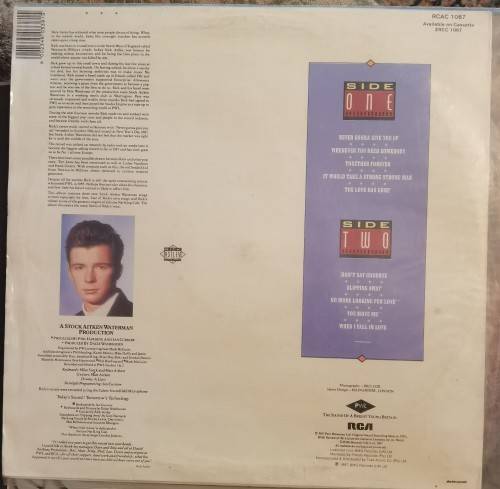 Rick Astley  Whenever You Need Somebody (Vinyl) RCAC1067 Media VG+, Sleeve VG +