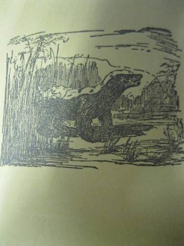 Buks deur GC en SB Hobson Dertiende druk 1945