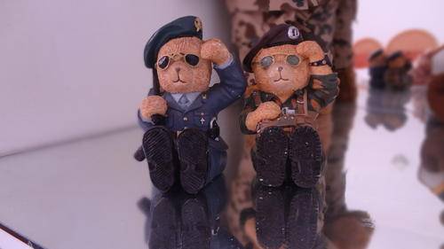 para ted