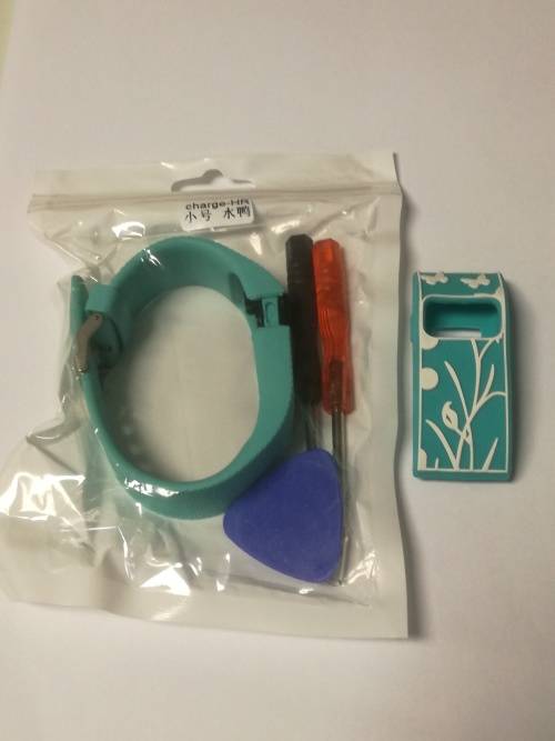 Fitbit Charge HR Large Replacement Strap with protector - Turquoise