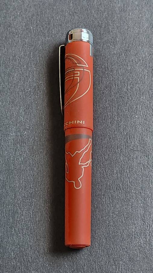 Sergio Tacchini Fountain Pen needs ink(needs refill) - as per photograph