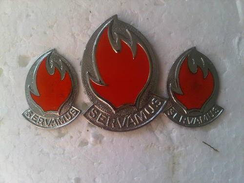 113 BATTALION CAP & COLLARS - ORIGINAL