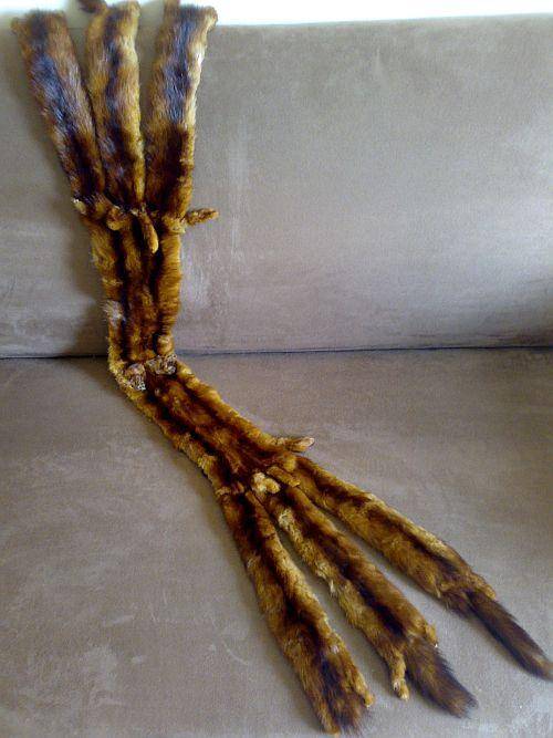 VINTAGE FUR CAPE COMPLETE WITH HEAD, TAIL, LEGS ETC