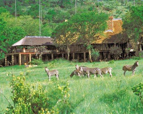 ***PRICE REDUCED**ABSOLUTE BARGAIN!**LUXURY RESORT**Kwa Maritane Bush Lodge** Executive unit(S/C)**