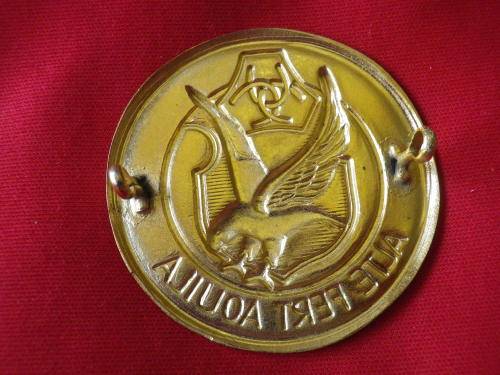 SA  - AWB GILDING METAL + ENAMEL BERET BADGE   (P2)