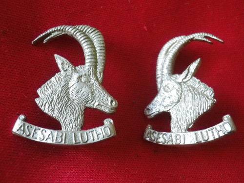 RHODESIAN ARMOURED CAR REGT. FACING PAIR W/M COLLAR BADGES   (177)