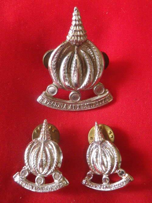 SADF - SA FINANCE CORPS CHROME CAP + COLLAR BADGES    (4070)
