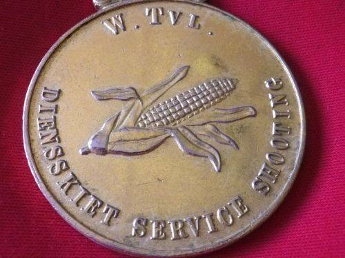 SADF - WESTERN TRANSVAAL SHOOTING MEDALLION  1981         (1598)