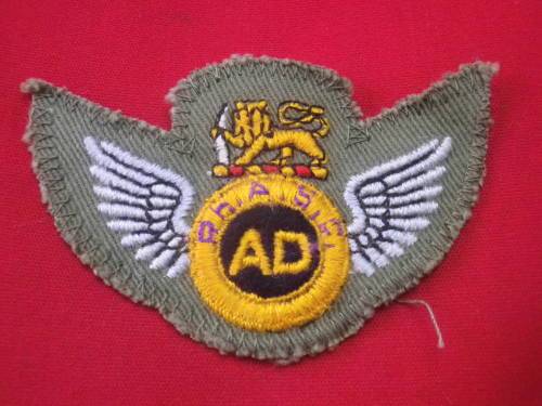 RHODESIAN ARMY SERVICES CORPS. - AIR DISPATCHER WINGS - COMBAT DRESS     (1048)