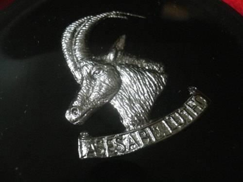 RHODESIAN PERIOD - 5 X RESIN COASTERS - GREYS, RLI, RR, RAR,  RhACR    DIAMETER 8cm           (1051)