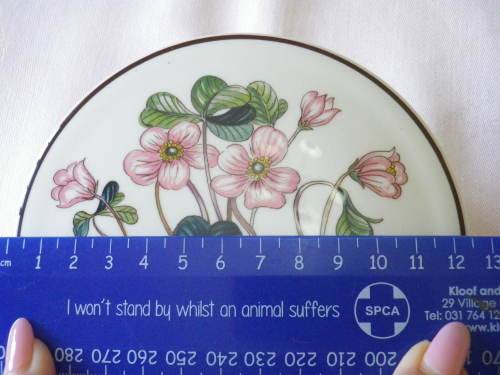 VILLEROY & BOCH `BOTANICA`  BOWL + LID -  DIAMETER 12.5cm - NO CHIPS OR CRACKS, GOOD CONDITION