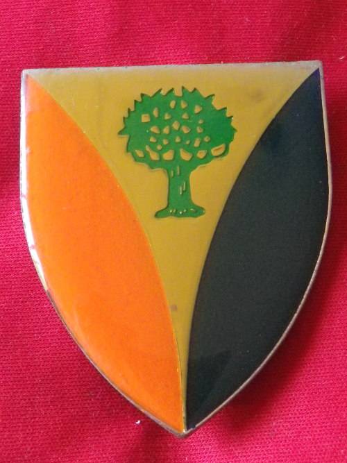 SADF - REGIMENT VRYSTAAT FLASH                      (4072)