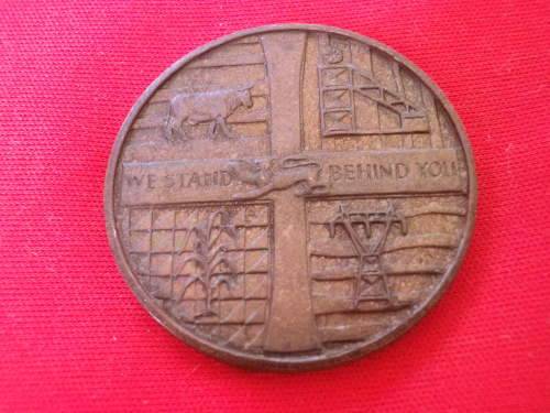 RHODESIA INDEPENDENCE BRONZE MEDALLION              (8160)