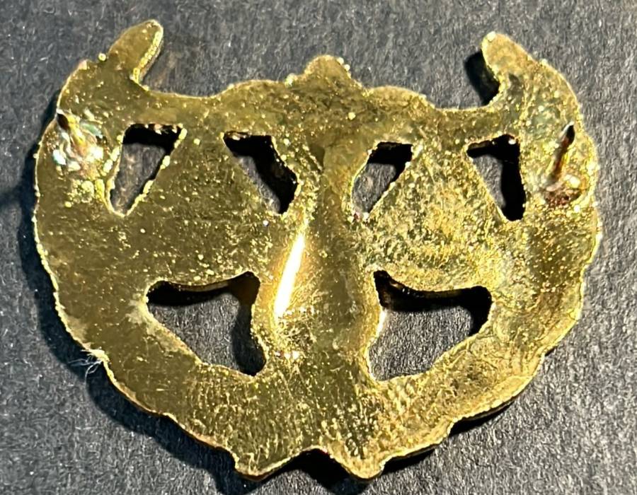 SADF - Law Officer Breast Badge