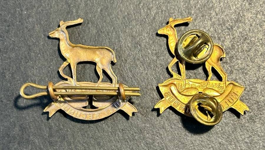 SADF - Regiment Pretoria Collar Badges