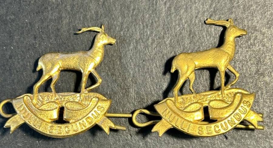 SADF - Regiment Pretoria Collar Badges