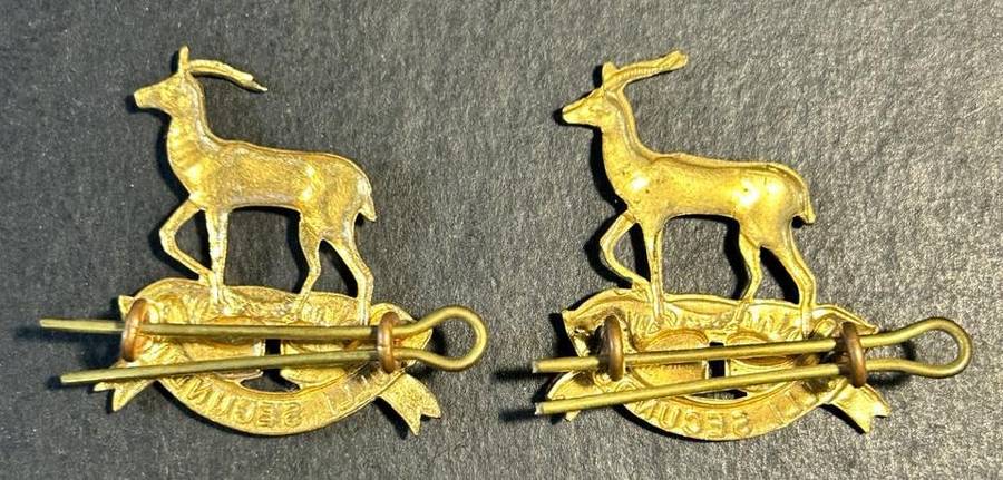 SADF - Regiment Pretoria Collar Badges