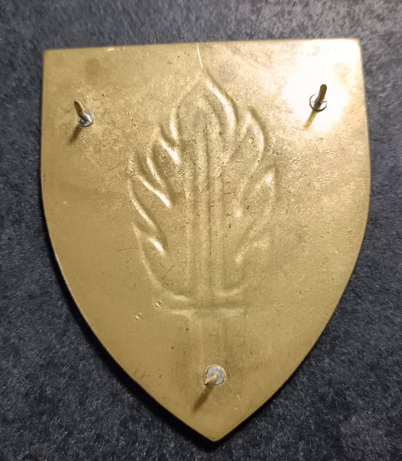 SADF - Intel School Shoulder Flash