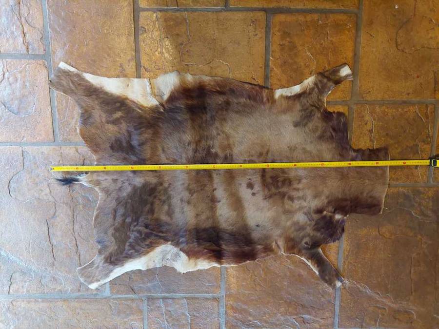 Animal Skins x 4 - KUDU - WILDEBEES - BLESBOK X 2