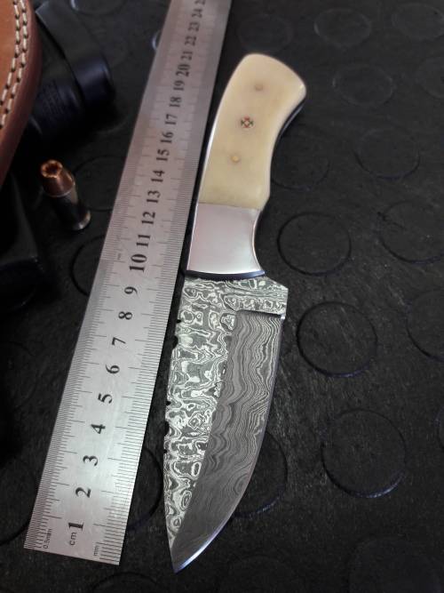 Handmade DAMASCUS Steel Knife, Camel Bone handle scales. Crazy R1 start, No reserve.