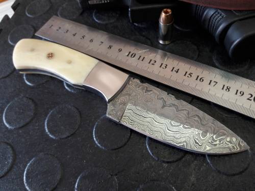 Handmade DAMASCUS Steel Knife, Camel Bone handle scales. Crazy R1 start, No reserve.