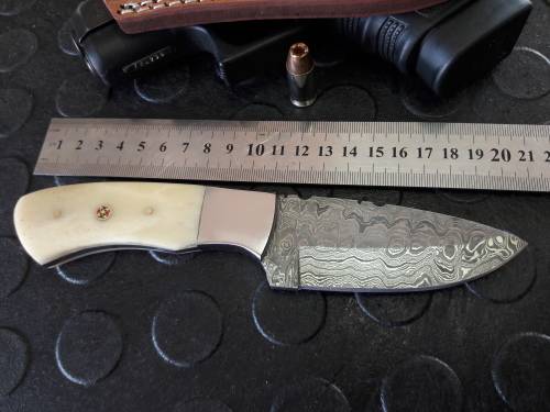 Handmade DAMASCUS Steel Knife, Camel Bone handle scales. Crazy R1 start, No reserve.
