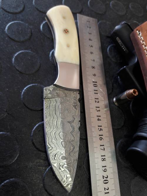 Handmade DAMASCUS Steel Knife, Camel Bone handle scales. Crazy R1 start, No reserve.