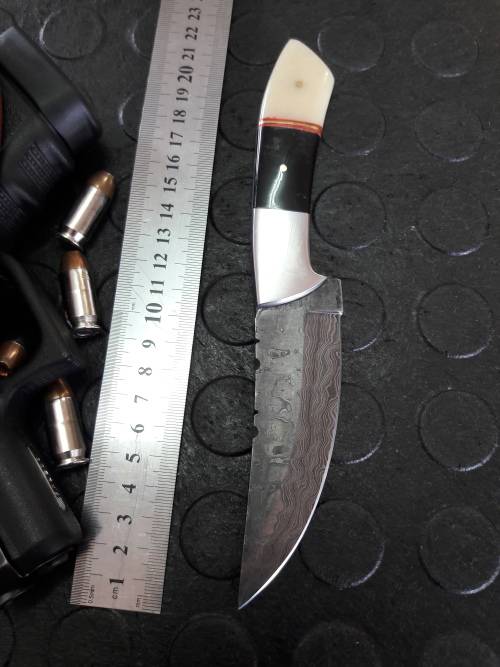 Handmade DAMASCUS steel Knife with Camel bone and bull horn handle. R1 start, No reserve auction.