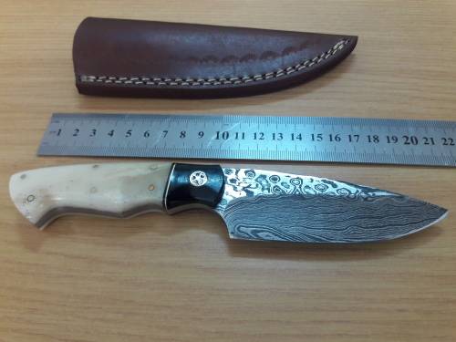 Handmade DAMASCUS Steel Knife, Bull horn and Camel Bone handle scales. NEW DESIGN !!!!