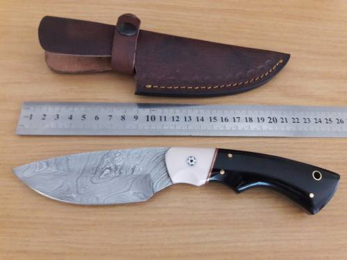 Handmade DAMASCUS Steel Hunting Knife, Bull horn and Camel Bone handle scales.