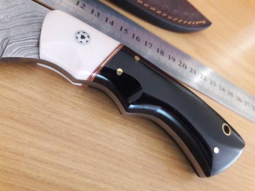 Handmade DAMASCUS Steel Hunting Knife, Bull horn and Camel Bone handle scales.