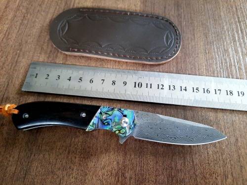 Damascus VG-10 Stainless Steel folding knife, RAZOR Sharp, EBONY WOOD & Shell handle.