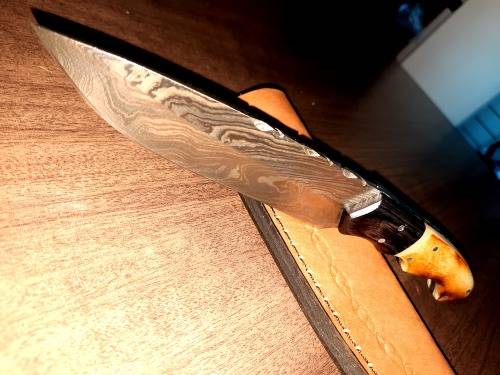 Handmade DAMASCUS Steel Hunting Knife, BURNT Camel Bone & Wooden Handle scales.