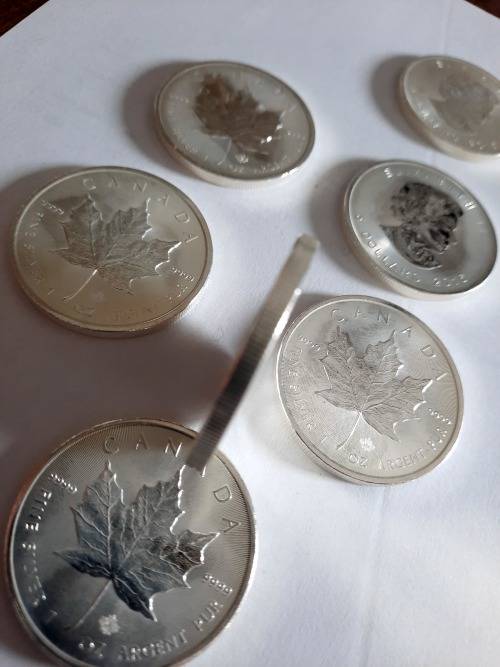 1 OZ Silver Canadian Maple Coin, 7 available,  PURE SILVER !!! BID PER COIN !!!