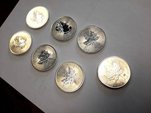 1 OZ Silver Canadian Maple Coin, 7 available,  PURE SILVER !!! BID PER COIN !!!