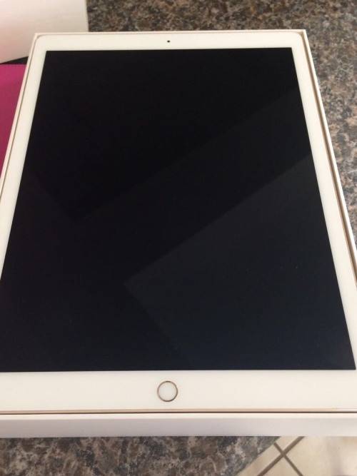 Apple Ipad Pro Gold