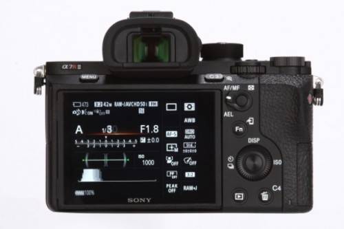 Sony Alpha A7R ll mirrorless camera with  Sony FE 3.5-6.3  24~240 telephoto lens.
