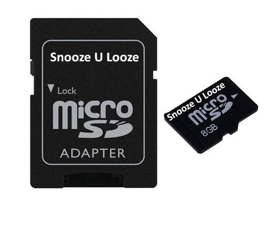 8Gb Class (4) Micro SDHC card *** 10 on Auction *** FREE Shipping on Extra Units