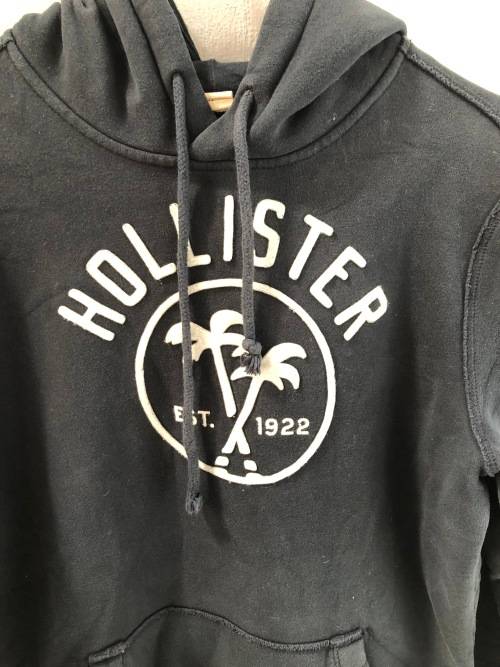 Navy Hollister Hoodie (Medium / Large)