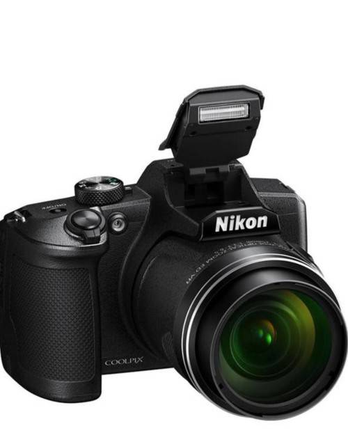 Nikon Coolpix L100