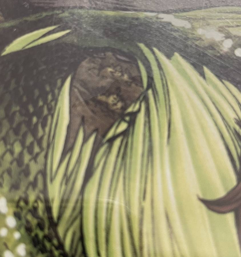 CGC Qualified Comic Book (Signed)  - Grimm Fairy Tales