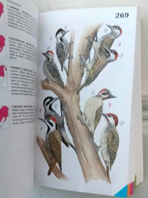 Handbook of tropical aquarium fishes+BIRDS of Southern Africa Pre-owned- LOOK At My BUY NOW NO WAIT