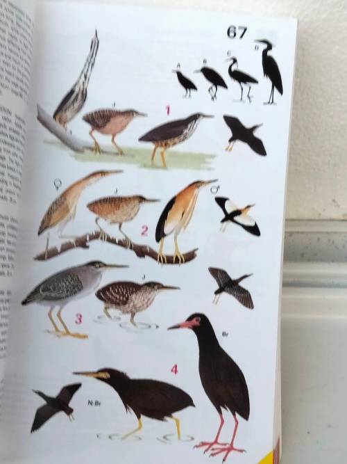 Handbook of tropical aquarium fishes+BIRDS of Southern Africa Pre-owned- LOOK At My BUY NOW NO WAIT