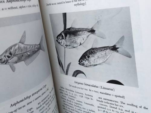 Handbook of tropical aquarium fishes+BIRDS of Southern Africa Pre-owned- LOOK At My BUY NOW NO WAIT