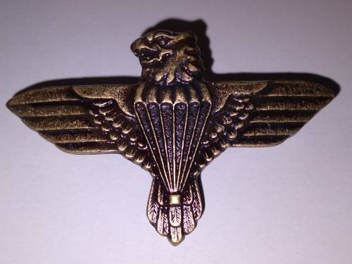 44 Parachute Regiment Beret Badge