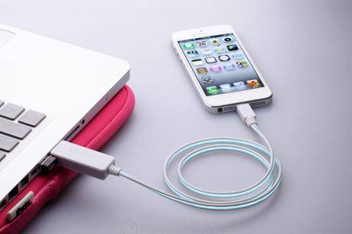 iPhone 5/Ipad 4 Light up Lightning Cable