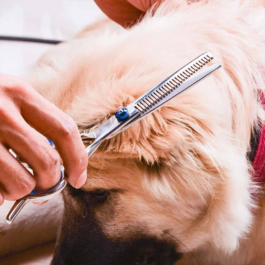 Professional 6 inch Pet Grooming Scissors Set With Storage Pouch - 5 Pieces