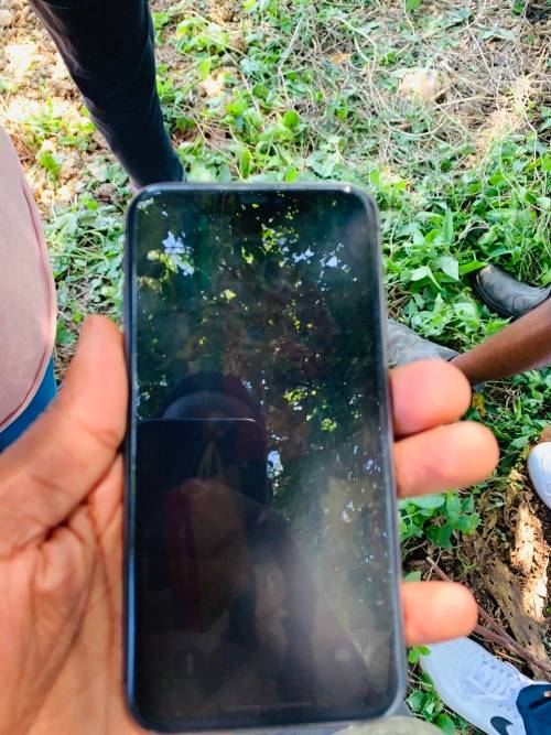 iPhone 11